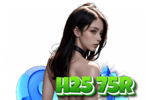 h25 75r เข้าสู่ระบบ